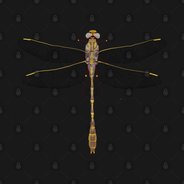 Discover Yellow and Purple Dragonfly - Dragonfly - T-Shirt