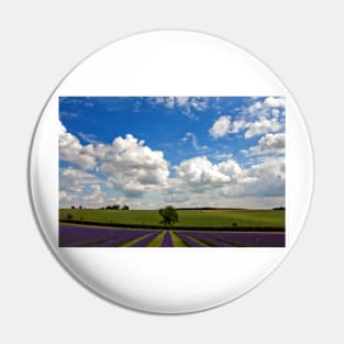 Lavender Field Purple Flowers Cotswolds England Pin