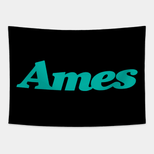 Ames Department Store Tapestry