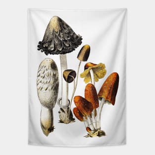 Mushrooms and Fungi Tapestry