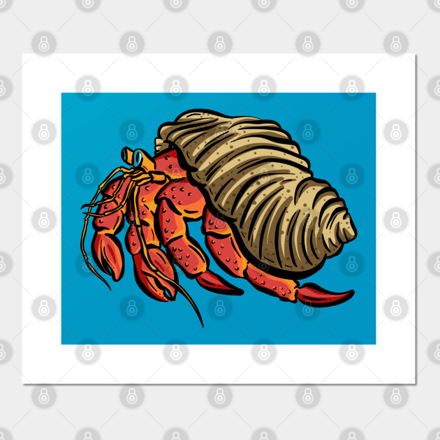 Big Red Hermit Crab cartoon illustration - Hermit Crab - Posters and Art Prints | TeePublic Big Red Hermit Crab cartoon illustration - Hermit Crab - Posters and Art Prints | TeePublic