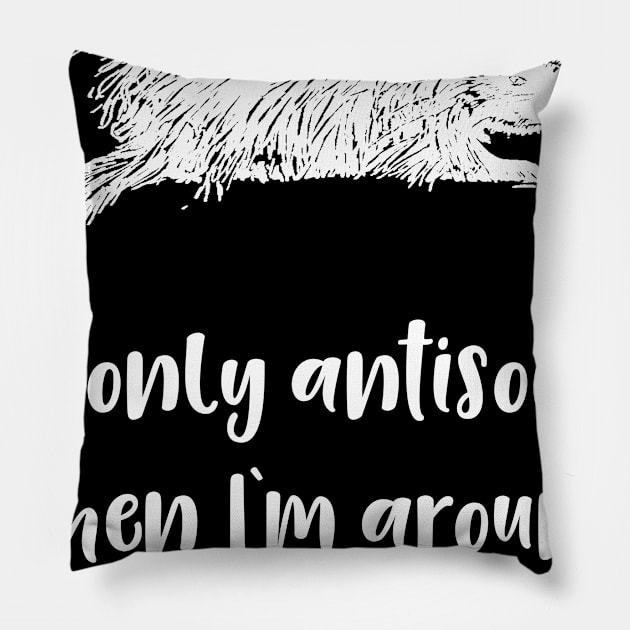 I'm Only Antisocial Around Other People Pillow by DANPUBLIC