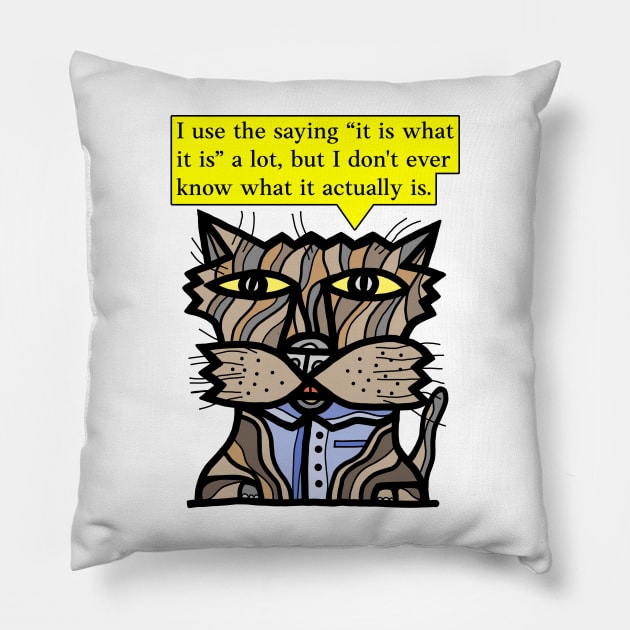 "I use the saying "it is what it is" a lot, but I don't ever know what it actually is." Pillow by The BuddaKats