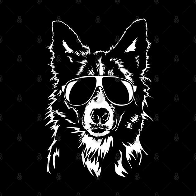 Funny Border Collie sunglasses cool dog by wilsigns