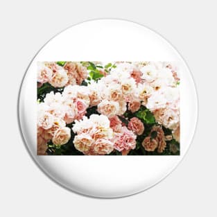 Roses Pin