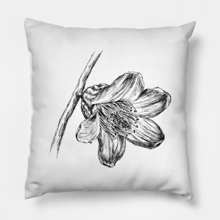 Silk Cotton Tree Flower Print Pillow