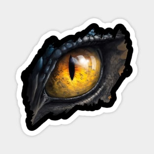 Fantasy Black Dragon Eye "The Golden Eye" Magnet