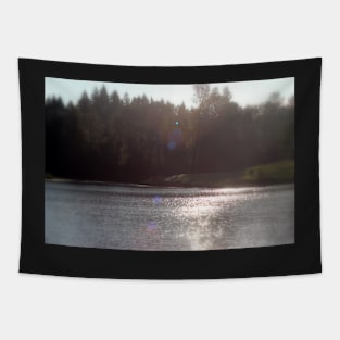 view across Trojan pond, near Goble, Oregon with flare Tapestry