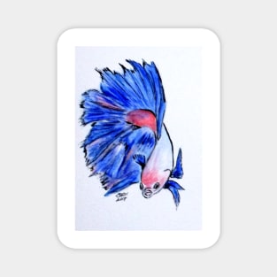 Art Doodle No. 33 Betta Fish Magnet