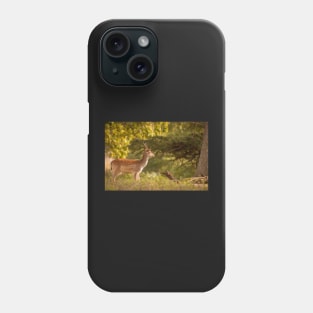 Deer in autumn light Phone Case