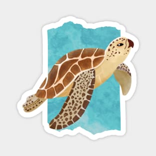 Watercolor turtle swimming away Magnet