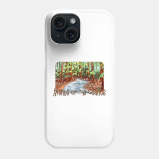 Ride On The Avenue Of The Giants, California Phone Case