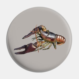 crayfish Pin