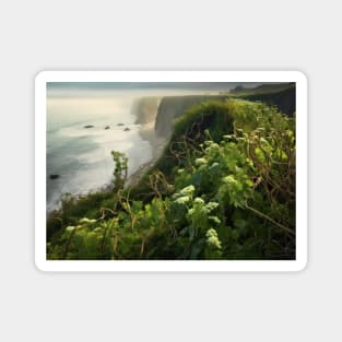 Bluffs Blossom Tendrils Magnet