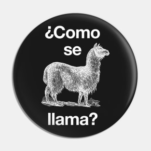 ¿Como se llama? Pin