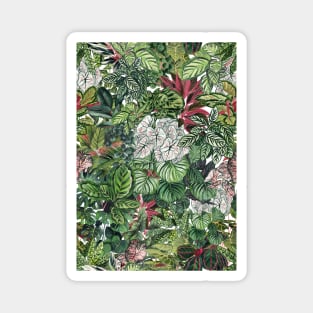 Urban Jungle Illustration 2 Magnet