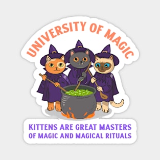 University of Magic / Kittens are great masters of magic / Halloween Magnet