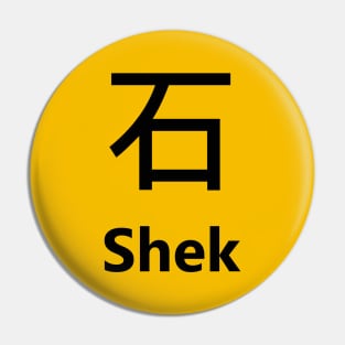 Chinese Surname Shek 石 Pin