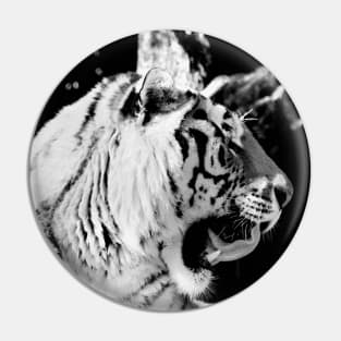 Year of the tiger 2022 / 5 /  Swiss Artwork Photography Pin