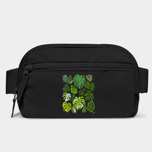 Monstera Varieties Albo Deliciosa Thai Con Plant Lover Bag