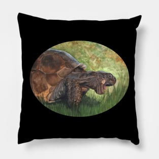 Gopher Tortoise by Sherrie Spencer Pillow