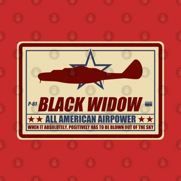 P-61 Black Widow by TCP