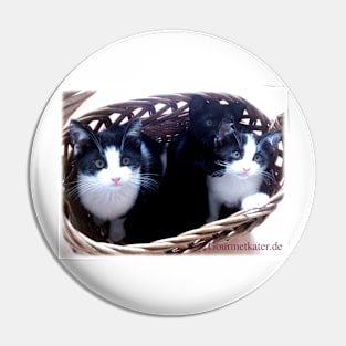 3 cats in the basket! Pin