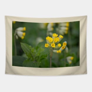 English Wildflowers - Cowslips Tapestry