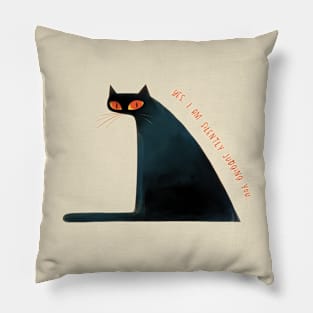 Silently Judging You Pillow