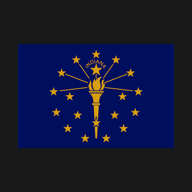 Gold and Blue Stars and Torch on Flag of Indiana by pdpress