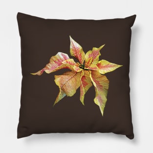 Poinsettias - Fancy Pink and Yellow Poinsettia Pillow