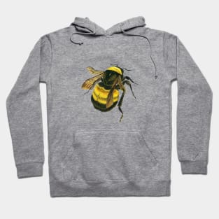 Bee the Change Hoodie Honeybee Conservation Sweatshirt 