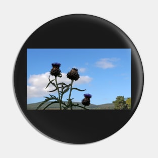 Globe Thistle in Color Pin