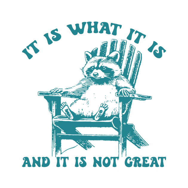 It Is What It Is And It Is Not Great Raccoon by sindanke