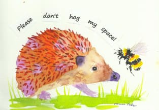 Pink Hedgehog, "Please don't Hog my Space!" Magnet