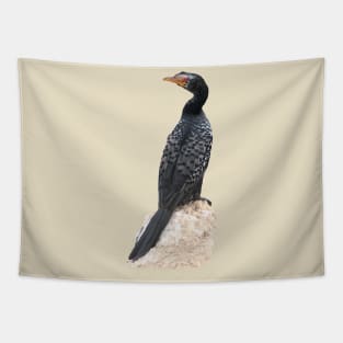 Reed Cormorant - Bird - Africa - Ornithology Tapestry