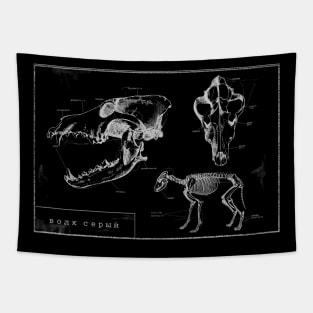 wolf anatomy in negative Tapestry