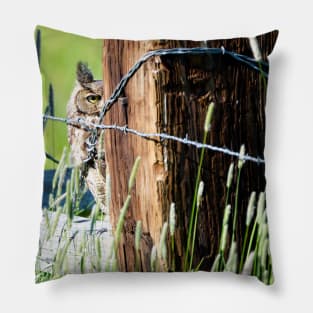 Peekaboo Great Horned Owl Pillow