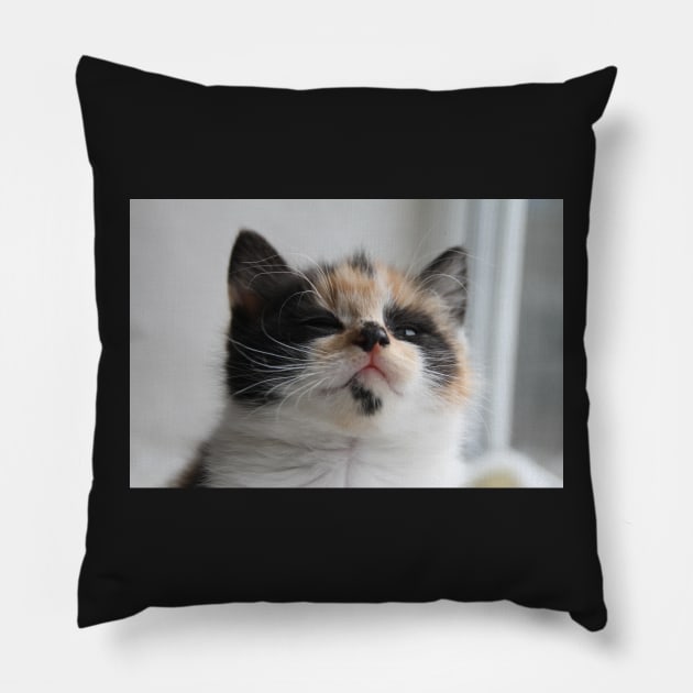 Tomorrow I Rule The World Pillow by Ladymoose