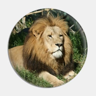 King Of The Jungle Pin