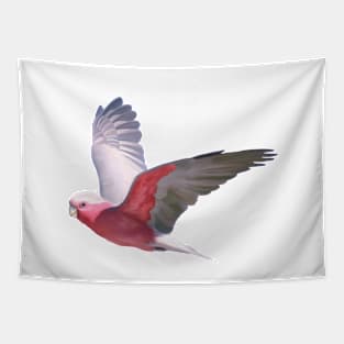 Cheeky galah, Beautiful galah, pink and grey parrot, flying galah with a cheeky grin. Tapestry