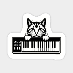 Synthesizer Cat Magnet