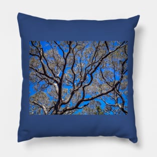 Beyond The Treetops To The Blue Sky Pillow