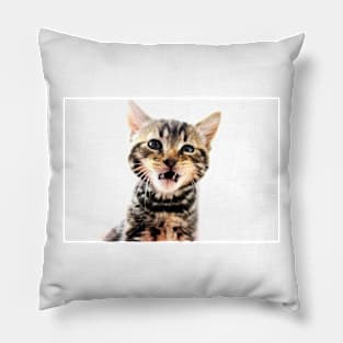 Tiny Tiger Teeth Pillow