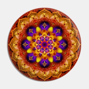 Mandala Magic - Daily Focus 11.15.2023 Pin