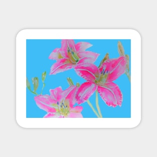 Pink Lily Flowers floral Watercolor Painting Blue Magnet