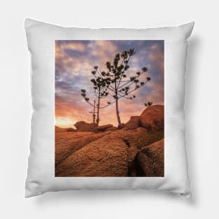 Trees In Light Pillow