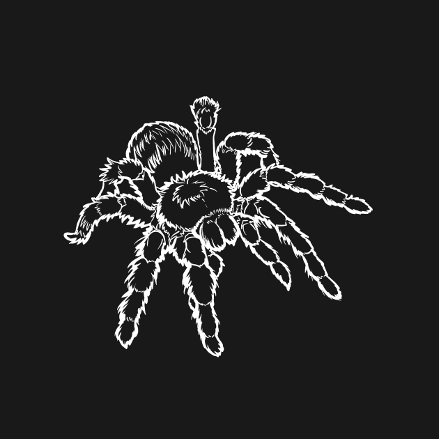 Tarantula with White Outline by RJKpoyp