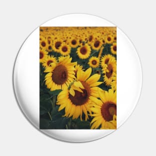 Sunflower Pin