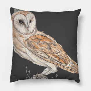 Prince of Selene (Tyto alba) Pillow